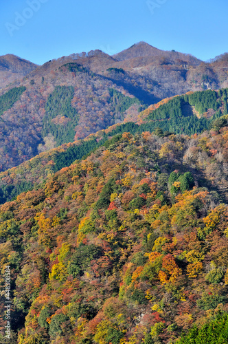 奥武蔵の大ヨケノ頭より紅葉の山肌に奥多摩を望む　奥武蔵　大ヨケノ頭より蕎麦粒山（火打石山） © Green Cap 55