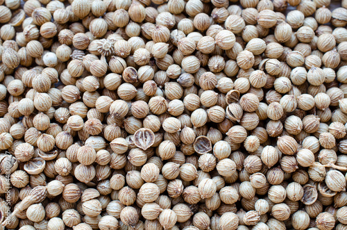 Top view of dry organic  coriander seed background for food ingredient or seasoning concept