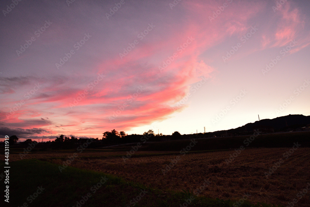 Obraz premium 【福島】茜色の田園風景