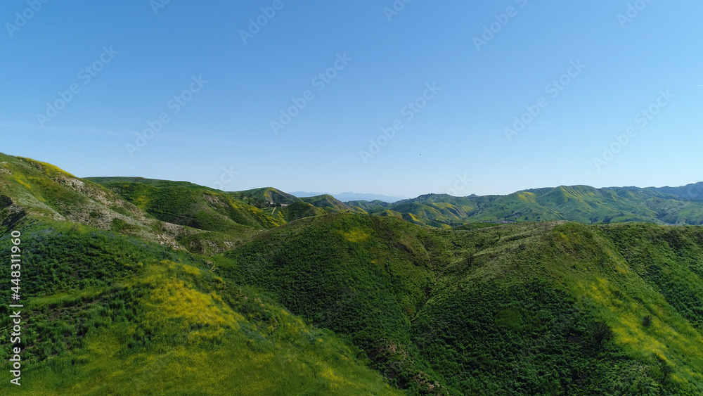 Obraz premium Green flowery Field Blue Sky Malibu, Santa Monica Mountains, Agoura Hills, Calabasis Aerial