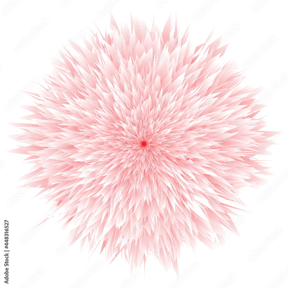 Illustration of flowers or feathers in pink tones isolated on white background. Bloom from the middle Illustration of flowers or feathers in pink tones isolated on white background. Bloom from the middle