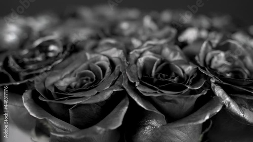 Black roses spinning macro shot shallow depth of field photo