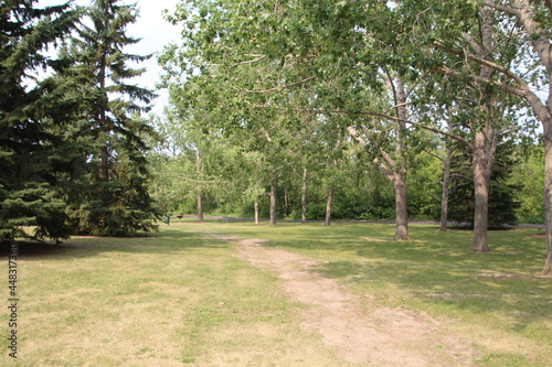 Path In The Park, Gold Bar Park, Edmonton, Alberta