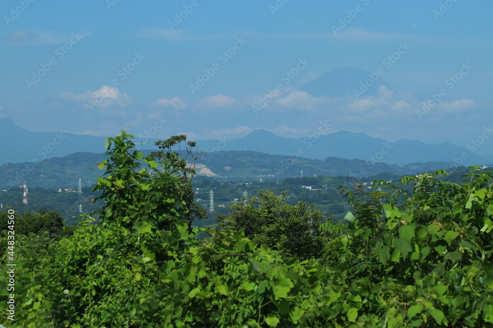 高麗山公園　俯瞰