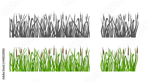 Grass with reeds set silhouette and color option. Isolated background. Vector illustration