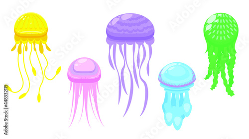 Set Abstract Collection Flat Cartoon 
Different Color Animal Jellyfish Medusa Marine Water Vector Design Style Elements Fauna Wildlife Isolated