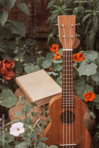 a ukulele and a book among wildflowers