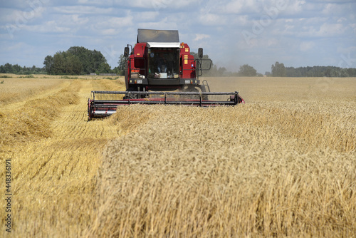 A combine harvester collects ripe ears of grain on a large farmer s field.