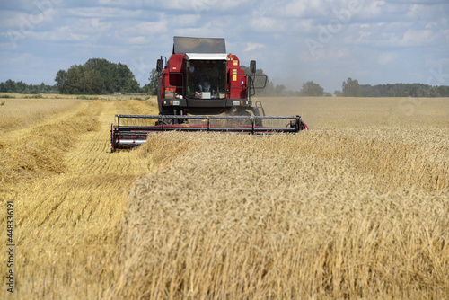 A combine harvester collects ripe ears of grain on a large farmer's field. © BAR