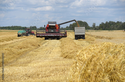 A large wheat field, a combine harvester unloads grain into a truck.