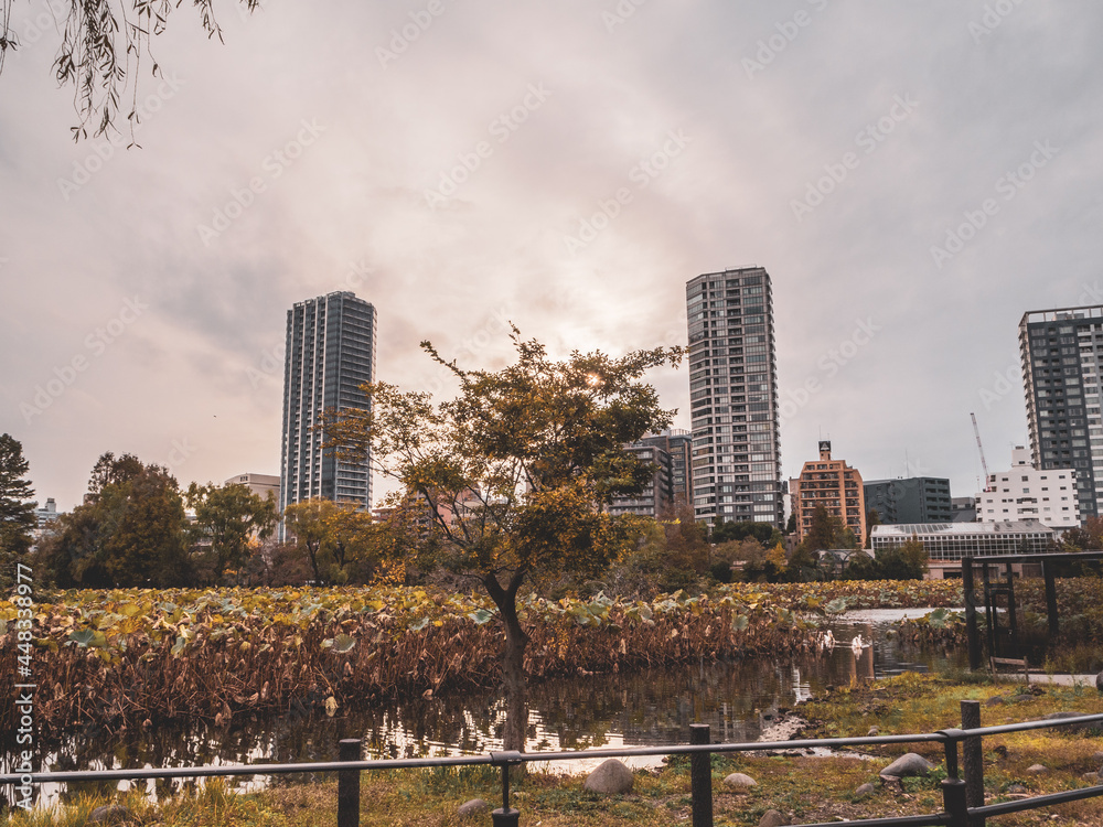 Obraz premium I played at Ueno Zoo.