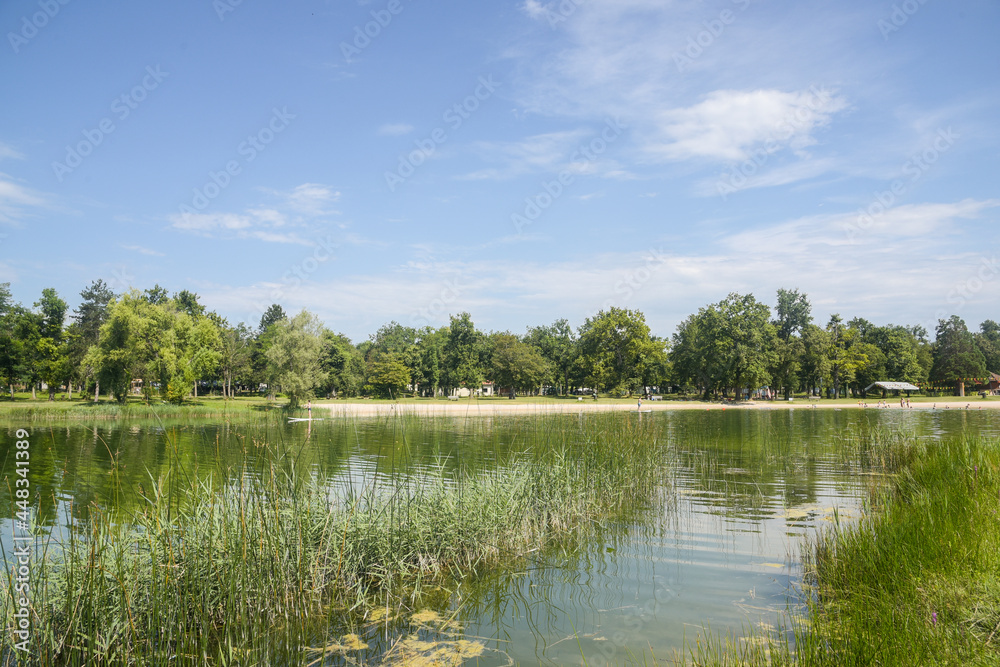 Obraz premium vue d'un lac et des arbres. Un lac avec des fleurs un ciel bleu et un nuage