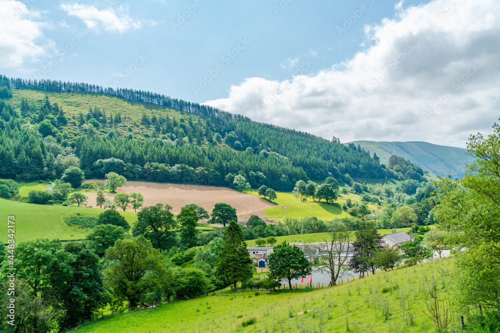 Fototapeta premium Countryside in rural Wales