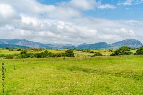 Rural Welsh landscape