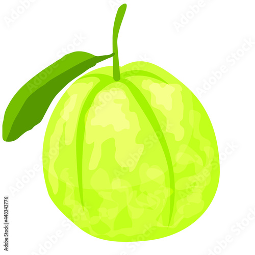 guava