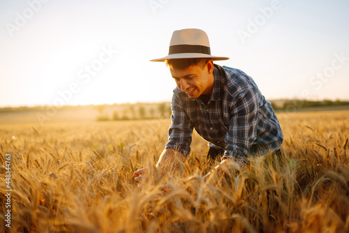 Young farmer in hat checking the quality of wheat grain on the spikelets at the field.  Farm worker touches the ears of wheat to assure that the crop is in good condition. Agriculture and harvesting.  © maxbelchenko