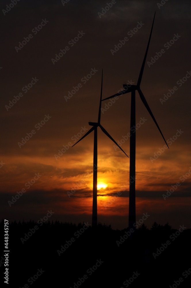 Obraz premium Windräder in der Abendsonne
