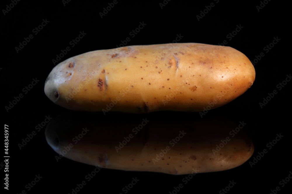 Potato isolated on dark background with reflex Potato isolated on dark background with reflex