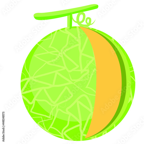 fresh natural Cantaloupe vector art 