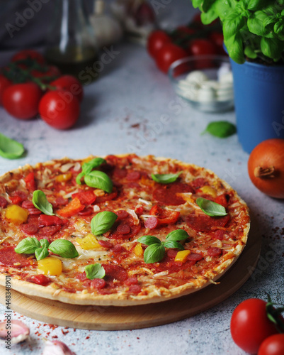 Pizza with salami and basil