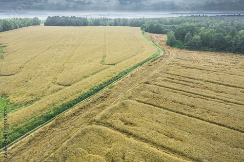 Przedgórze sudeckie. Nierówny pofałdowany teren pokryty polami uprawnymi, łąkami i kępami drzew, przez który przechodzi wąska droga. Zdjęcie wykonano z użyciem drona.