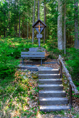 Hike to the Castle Ruins of Altnussberg in the Bavarian Forest photo