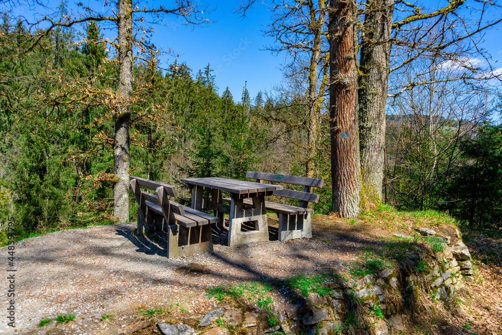 Fototapeta premium Hike to the Castle Ruins of Altnussberg in the Bavarian Forest