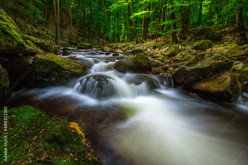 Wasserfall Harz