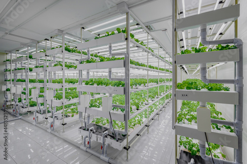 Vertical Farming photo