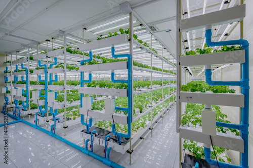 Vertical Farming