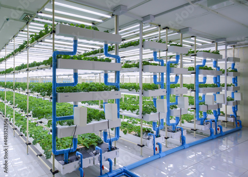 Vertical Farming