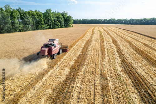 A combine harvester in the field harvests grain.  Aerial view.