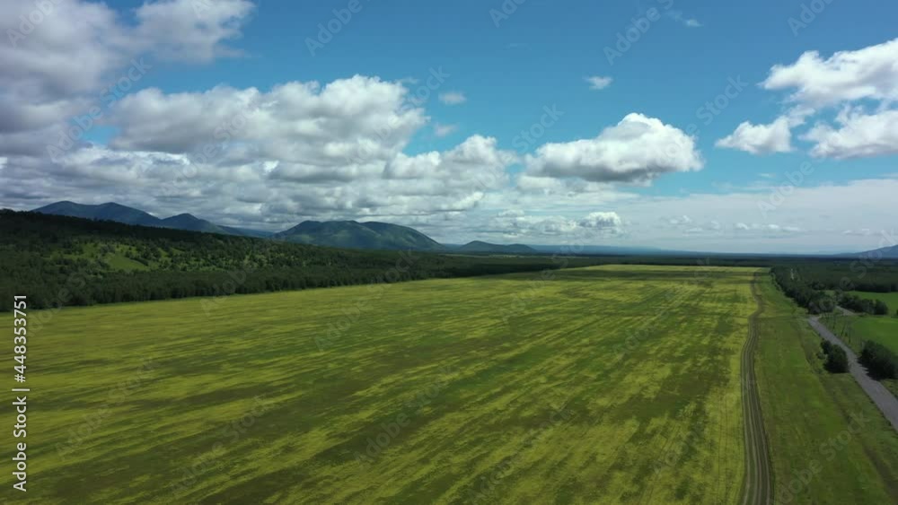 custom made wallpaper toronto digitalAerial Cinematic clip: Drone flying over a wheat field . Drone flies over green agriculture field with powerline. Beautiful summer landscape of a wheat field. Top view to the farm wheatfield. Kamchatk