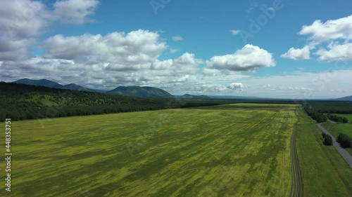 Wallpaper Mural Aerial Cinematic clip: Drone flying over a wheat field . Drone flies over green agriculture field with powerline. Beautiful summer landscape of a wheat field. Top view to the farm wheatfield. Kamchatk Torontodigital.ca