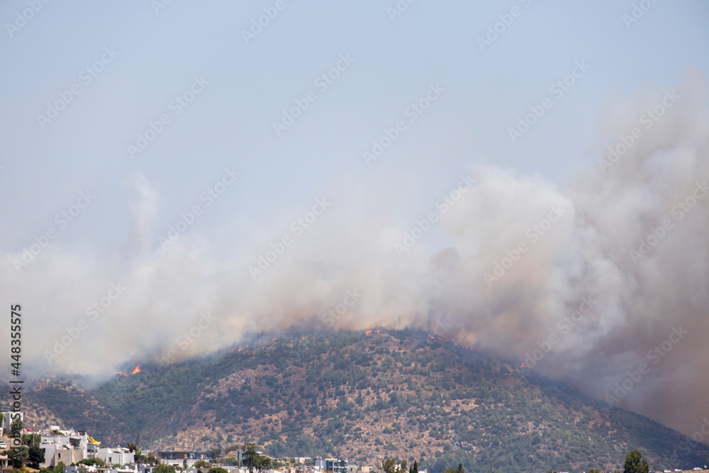 Breaking news and topics: Flames and smoke from wildfires cover the landscape. Clouds of smoke from bush fire blew into the suburbs of Bodrum. Holiday destination in danger. Turkey in fire