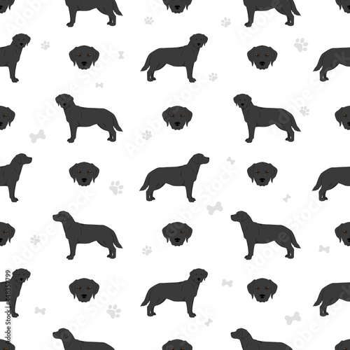 Labrador retriever dogs in different poses and coat colors seamless pattern
