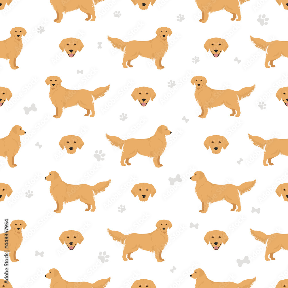 Golden retriever dogs in different poses and coat colors seamless pattern