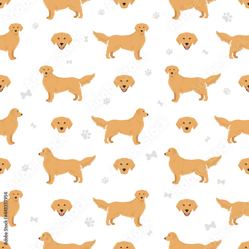 Golden retriever dogs in different poses and coat colors seamless pattern © a7880ss