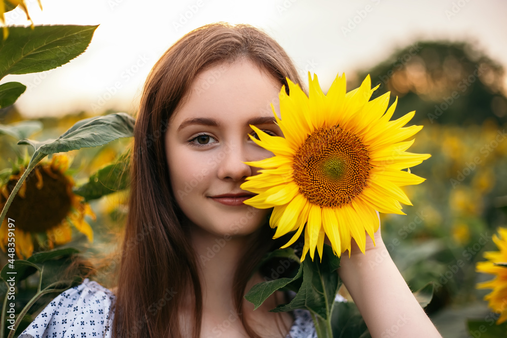 Cute attractive young girl walk through yellow bouquet blooming sunflower field outdoors sunset warm nature background. Woman stopped while travel on weekend copyspace. Summer holiday relax