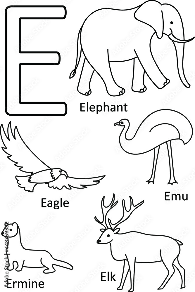 E animals names, Alphabet coloring for kids, Alphabet animals coloring  page, ABC coloring, Preschool education Stock Vector | Adobe Stock