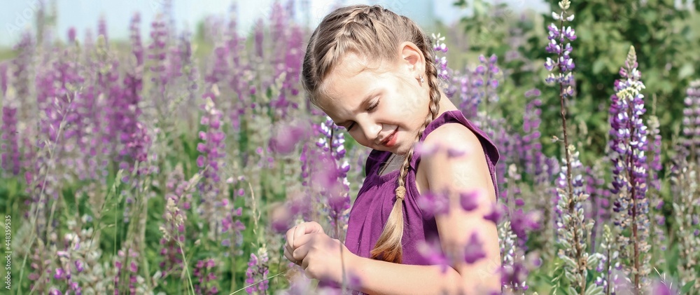 Beautiful little cute girl walking in the field among blooming purple, pink and blue lupin, lupine, lupinus flowers in sunlight. Floral, spring, summer, vacation banner. Beautiful little cute girl walking in the field among blooming purple, pink and blue lupin, lupine, lupinus flowers in sunlight. Floral, spring, summer, vacation banner.