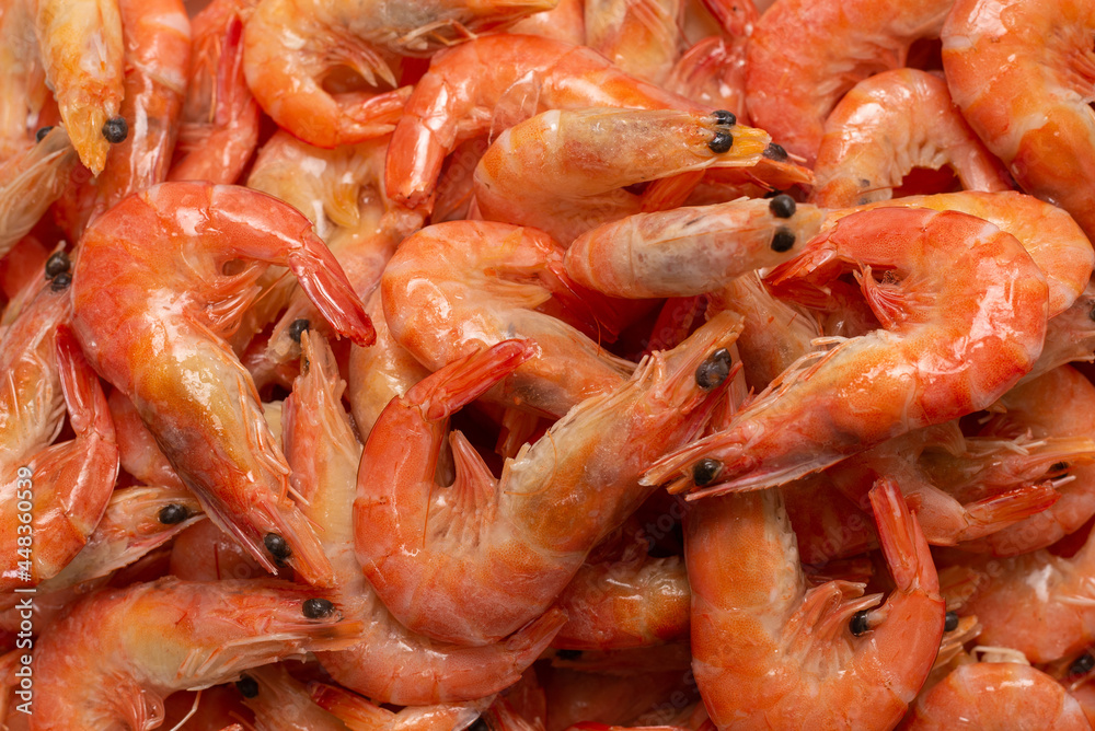 Shrimps background texture. A lot of shrimps. Cooked shrimps. Shrimps background texture. A lot of shrimps. Cooked shrimps.