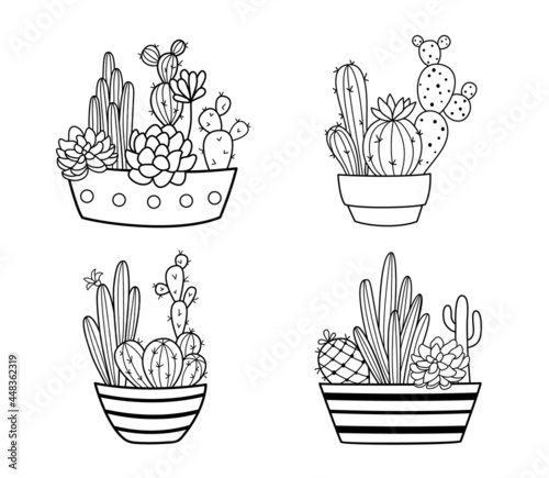 Cute hand drawn vector cactus in pots. Succulents, houseplants and various cacti in pots are isolated on a white background.