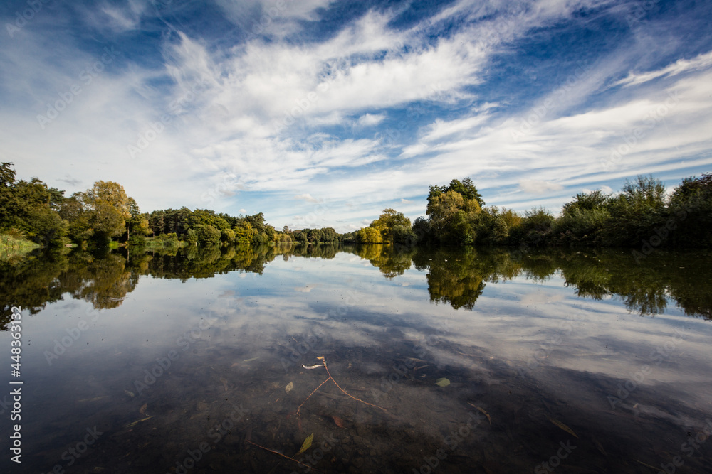 Fototapeta premium reflection of trees on the lake