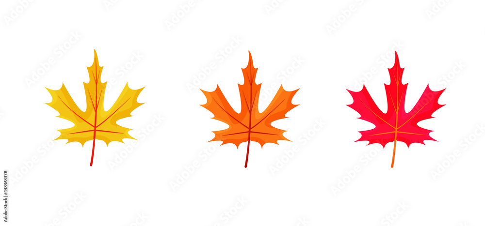 Autumn maple leaves icons isolated on white background. Simple cartoon flat style. Isolated vector illustration. Design for seasonal holiday greeting card, stickers, logo, web and mobile app Autumn maple leaves icons isolated on white background. Simple cartoon flat style. Isolated vector illustration. Design for seasonal holiday greeting card, stickers, logo, web and mobile app