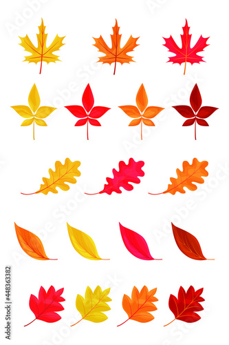 Autumn leaves or fall foliage icons isolated on white background. Simple cartoon flat style. Isolated vector illustration. Design for seasonal holiday greeting card, stickers, logo, web and mobile app