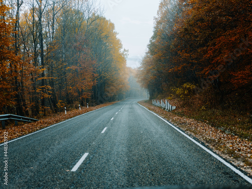 road fog autumn nature travel trip landscape