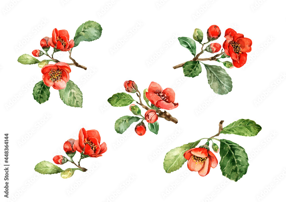 A set of flowering twigs with red flowers, buds, green leaves. Bright orange flowers of camellia and begonia isolated on white background. Hand drawn watercolor for wedding invitations, cards, prints. A set of flowering twigs with red flowers, buds, green leaves. Bright orange flowers of camellia and begonia isolated on white background. Hand drawn watercolor for wedding invitations, cards, prints.