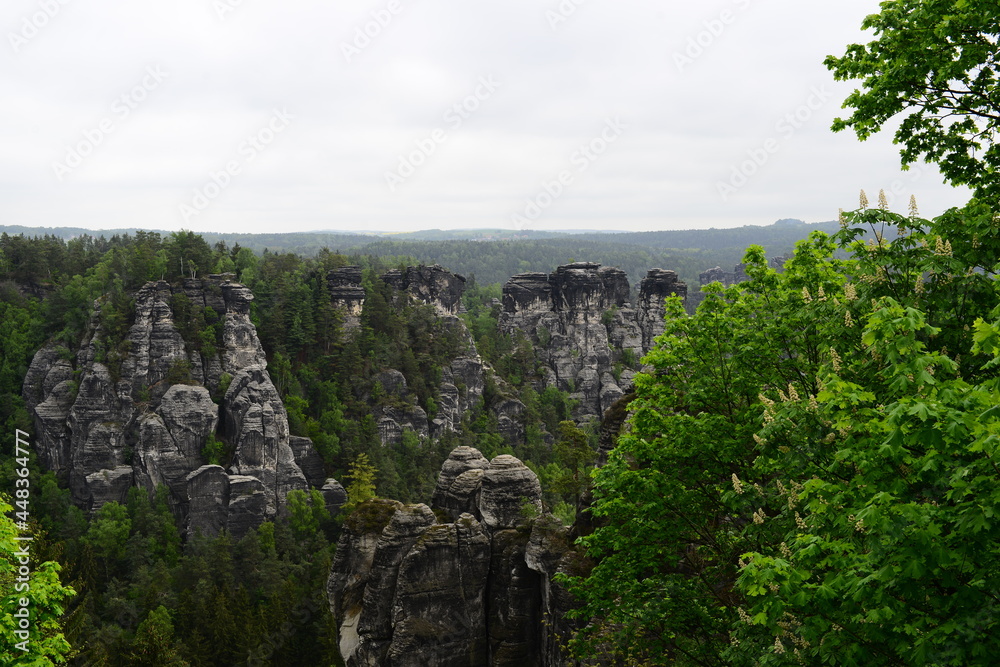 nature in the mountains of Germany Saxon Switzerland