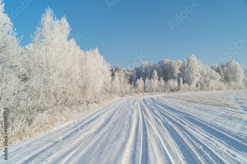 Winter forest on a frosty sunny day © Alik Mulikov